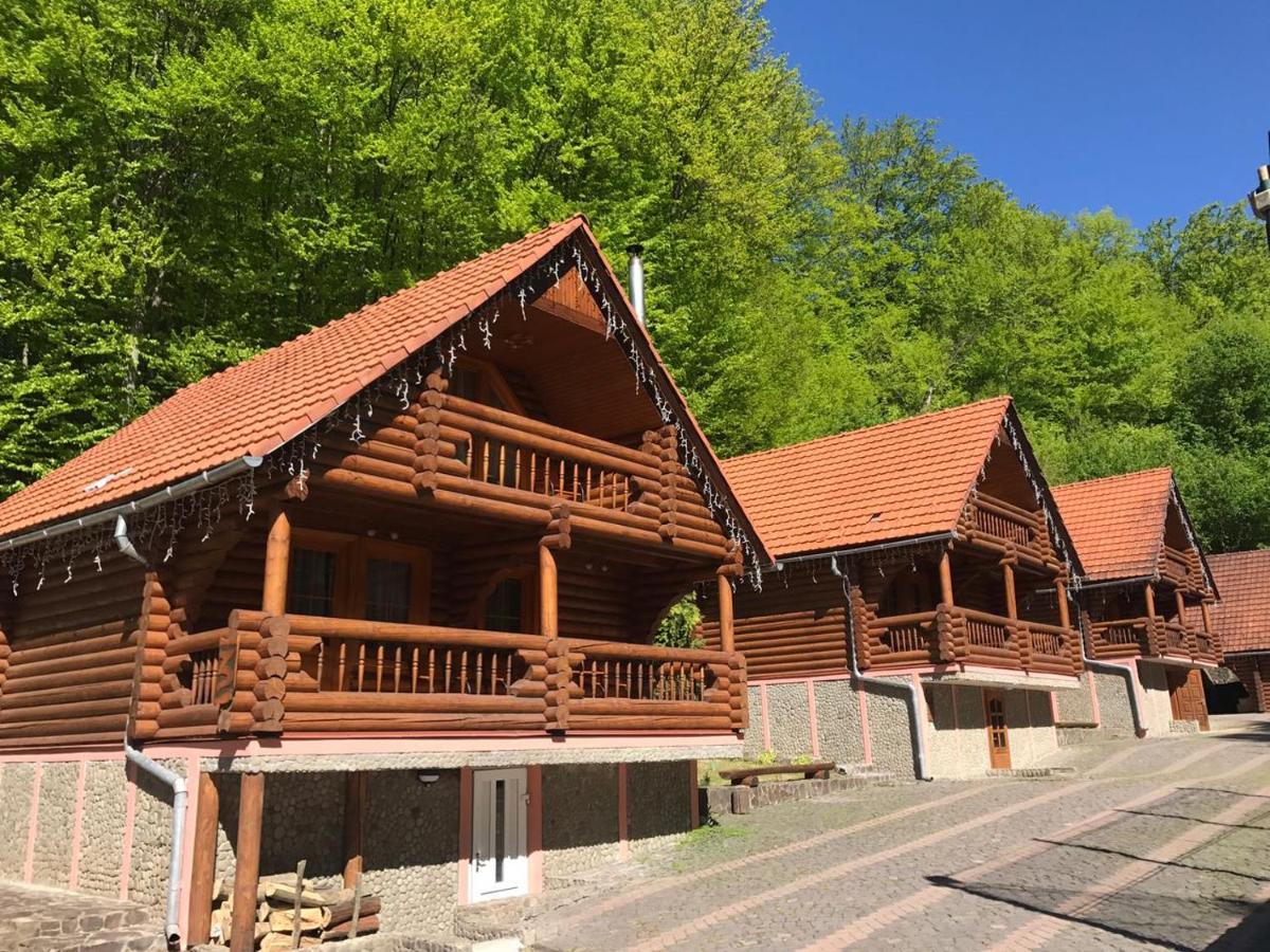 Toursit Complex Polyana Kvasova Hotel Exterior photo